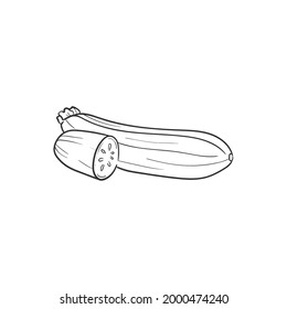 Squash Line vector illustration. Detailed Food icon for mobile concept, print, menu, and web apps. For for restaurant, bar, vegan, healthy and organic food, market, farmers market.