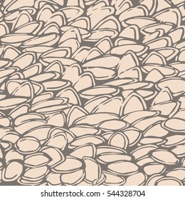Squash seeds surface, containing lots of similar flat seeds to form a texture