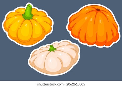 Squash set. Fresh squash yellow, orange and beige. In cartoon style stickers. Vector illustration for design and decoration.