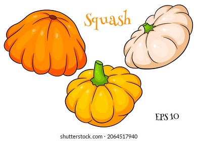Juego de squash. Amarillo fresco, naranja y beige. En un estilo de caricatura. Ilustración vectorial para diseño y decoración.