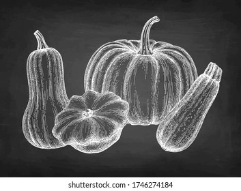 Squash set on blackboard background. Chalk sketch collection. Hand drawn vector illustration. Retro style