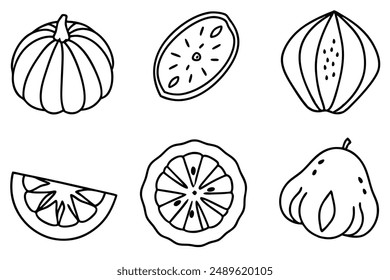 Squash Slice Art Line Herbsternte-Rendering