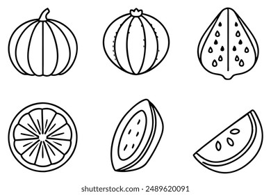 Squash Slice Art Line Harvesting Natural Beauty