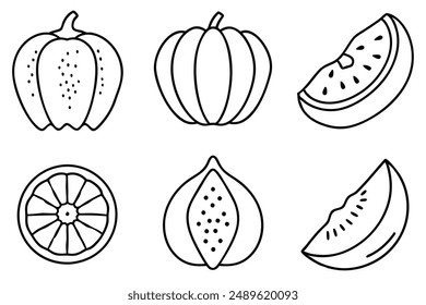 Squash Slice Art Line Vibrant Harvest Sketch