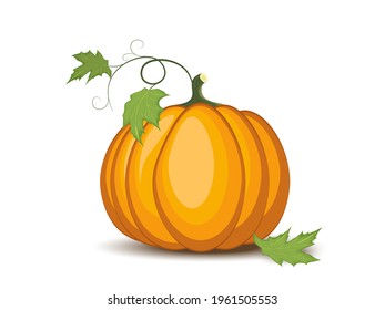Ilustración vectorial de squash. Calabaza otoñal con tallo marrón, icono gráfico vegetal o impreso, aislado. Calabaza de diseño plano