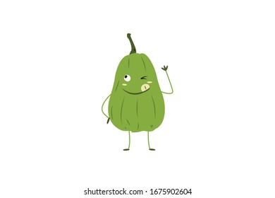Squash Vector Illustration Of A Vegetable