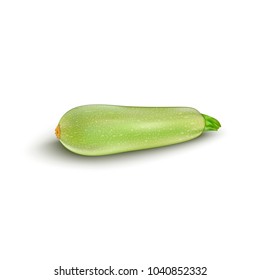 Squash vegetable marrow zucchini isolated on white background