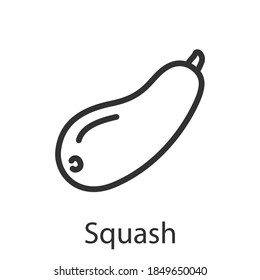 squash, vegetable , name of vegetable, linear icon. Editable stroke