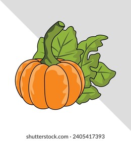 squash vegetable vector illustration with leaves isolated graphic