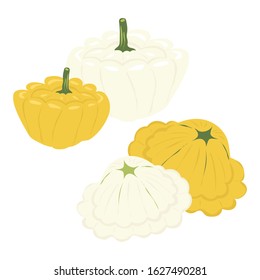 Squash. Vegetables. Natural food and healthy eating. Flat vector illustration isolated on white background.