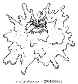 Squashed tomato spilling its juice over the wall. Illustration in hand drawn style.
