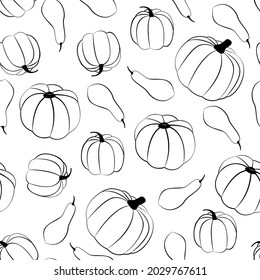 Squashes. Vector seamless pattern in line style. Monochrome print with various pumpkins on white backdrop