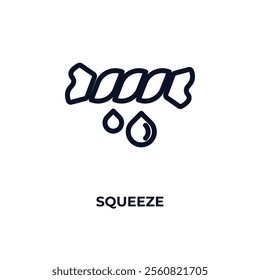 squeeze outline icon. Linear vector from cleaning concept. Thin line squeeze icon isolated on white background