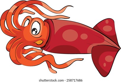 Squid