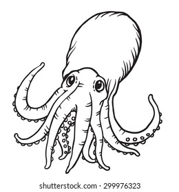 Squid