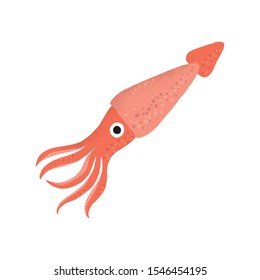 Squid animal cartoon character. Cartoon vector hand drawn eps 10 illustration isolated on white background in a flat style.