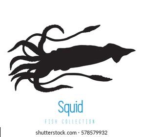 Squid art design