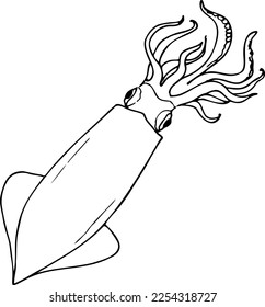 Tintenfisch, schwarz-weißer Vektorgrafik einzeln auf weißem Hintergrund.