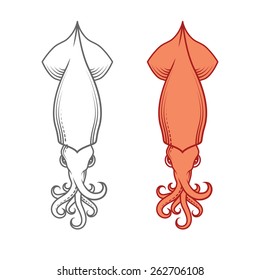 Squid, calamary. Decorative squid silhouettes isolated on white background.