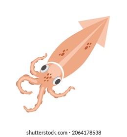 Squid carcass with tentacles. Vector flat stock illustration