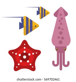 Squid color sea animals design flat vector illustration.