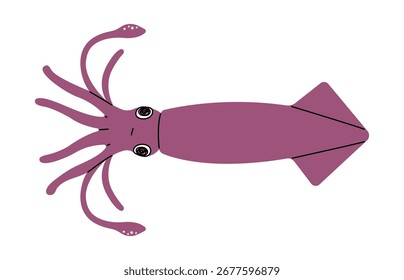 Calamar lindo sobre un fondo blanco, Ilustración vectorial.