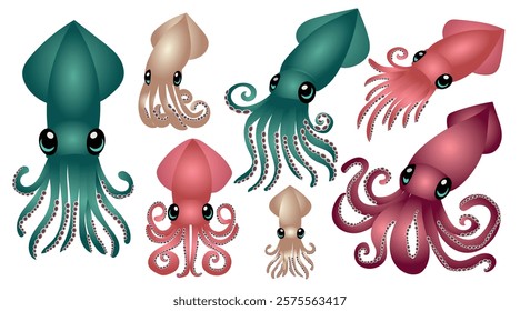 Squid, different types, shapes, colors, sea, ocean, fish, vector