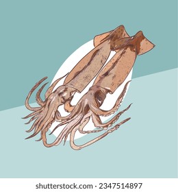 squid doodle illustration with handdrawing