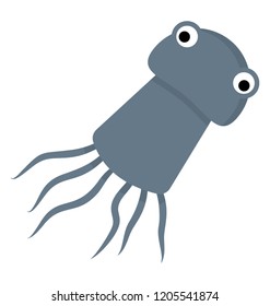 
Squid, an elongated, fast-swimming cephalopod with eight arms and two long tentacles typically able to change color 
