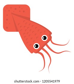 
Squid, an elongated, fast-swimming cephalopod with eight arms and two long tentacles typically able to change color 
