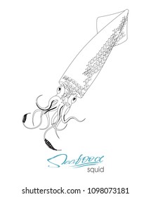 Squid fish silhouette. Icon squid with tentacles isolated on white background. Creature floating in water. Inhabitant wildlife of underwater world. Edible sea food. Vector illustration