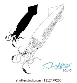 Squid fish silhouette. Icon squid with tentacles isolated on white background. Creature floating in water. Inhabitant wildlife of underwater world. Edible sea food. Vector illustration