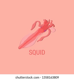 squid flat design. squid illustration on pink background.