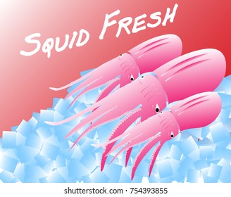 Squid fresh on ice
