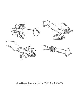 squid hand drawn doodle illustrations vector set