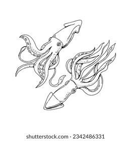 squid hand drawn doodle illustrations vector set