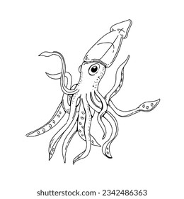 squid hand drawn doodle illustrations vector set