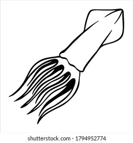Squid, hand drawn isolated vector illustration in black and white