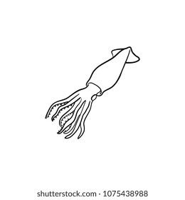 Squid hand drawn outline doodle icon. Vector sketch illustration of healthy seafood - raw squid or cuttlefish for print, web, mobile and infographics isolated on white background.
