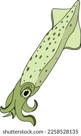 Squid. Hand drawn underwater creatures. Vector sea life, seafood. Colored marine animals