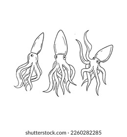 squid handrawn doodle illustrations vector