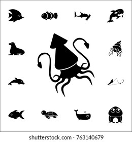 squid icon. Set of cute aquatic animal icons. Web Icons Premium quality graphic design. Signs, outline symbols collection, simple icons for websites, web design, mobile app on white background