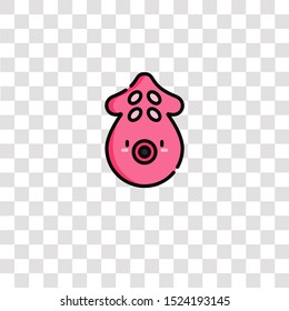 squid icon sign and symbol. squid color icon for website design and mobile app development. Simple Element from animals collection for mobile concept and web apps icon.