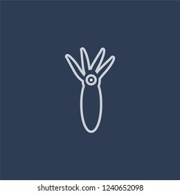 Squid icon. Trendy flat vector line Squid icon on dark blue background from animals collection. 