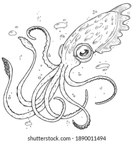 Icono de calamar. Pulpo de dibujos animados vectores.