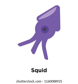 Squid icon vector isolated on white background, Squid transparent sign