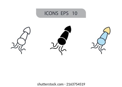 Squid icons  symbol vector elements for infographic web
