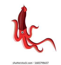 Squid illustration design element. sea life flat icon.