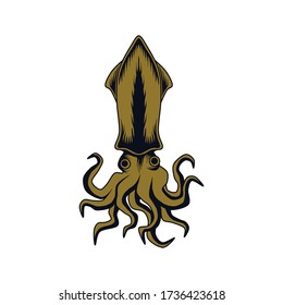 Ilustración de calamar aislada en fondo blanco.