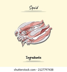 Squid Illustration Sketch And Vector Style. Good to use for restaurant menu, Food recipe book and food ingredients content.